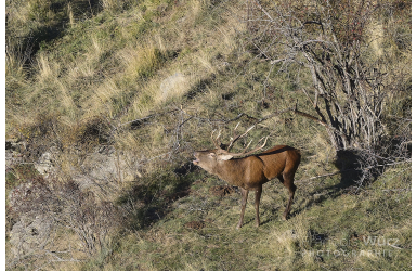 _DSC3533