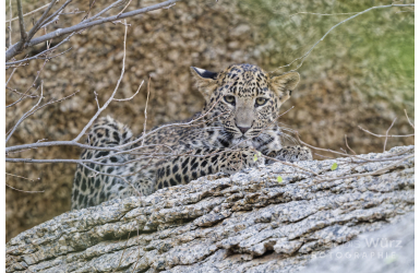 _DSC5268_DxO