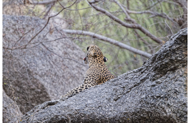 _DSC5472_DxO