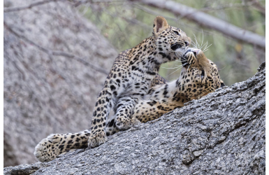 _DSC5550_DxO