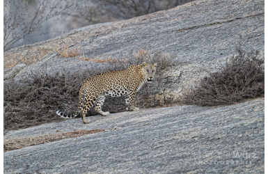 _DSC5883_DxO