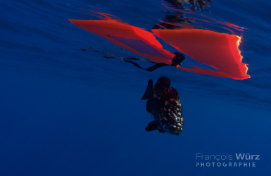 francois-wurz-photographie-2